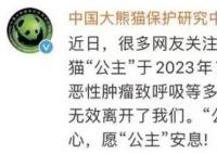 大熊猫“公主”和“融融”已离世 多器官功能衰竭