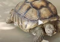 群众捡66斤“大宝贝”交给派出所 民警一见兴奋大喊同事围观