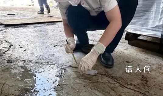 南京海关截获白蚁近3000只 确认为检疫性有害生物印缅乳白蚁