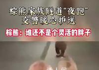 新疆3头棕熊在隧道里夜跑 警方提醒：棕熊具有攻击性请勿靠近