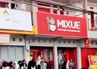 蜜雪冰城在印尼开了1500家店 五菱拿走近八成电动汽车市场份额
