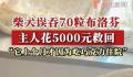 柴犬误食70粒布洛芬主人花5千救回 好在催吐及时