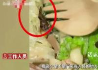 顾客在星巴克沙拉里吃出虫 回应：食物由第三方食品厂制作