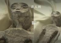 英国蛋糕师复刻墨西哥外星人 网友：太像了