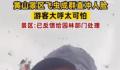 黄山飞虫成灾直扑人脸 网友直呼太可怕