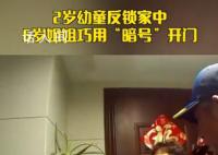 6岁姐姐一句暗号救出被困弟弟 机智的姐姐太厉害了