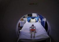 墨西哥“外星人干尸”未经组装 外星人干尸为单一骨架