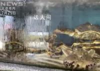 中国8月进口日本海鲜同比下降67%