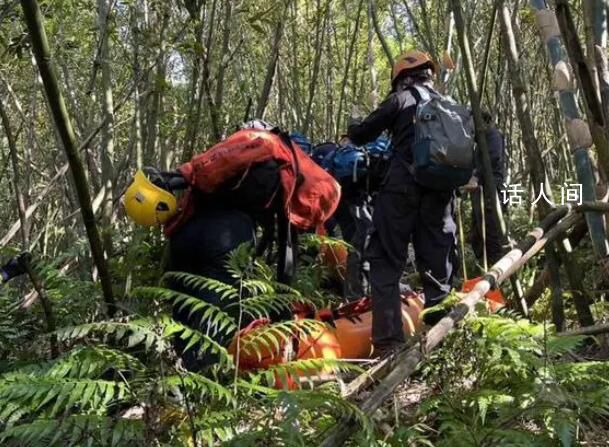 台湾一登山团遭蜂群攻击2死9伤 消防局获报前往救护4名消防人员也被螫伤