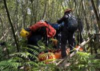 台湾一登山团遭蜂群攻击2死9伤 消防局获报前往救护4名消防人员也被螫伤