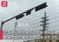 男子疑因骑车违章被罚 爬上电线杆