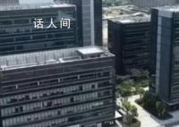 自贸区十年构建开放新格局 全面深化改革的排头兵和高质量发展的增长极