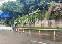 女子撞坏15米护栏被索赔10万多 回应：下属单位虚报价格