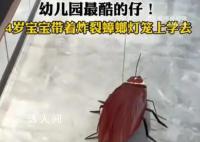 4岁宝宝带着炸裂蟑螂灯笼上学去 妈妈最后还给小强加了一个小皇冠