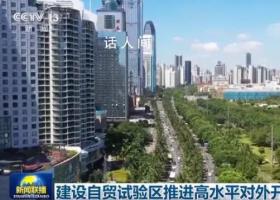 建设自贸试验区推进高水平对外开放