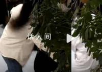 96斤护士海姆立克法救回166斤大哥 能把病人救回来就非常高兴