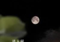 各地网友晒明月堪比摄影大赛 中秋夜恰逢今年第三大满月上演了超级月亮