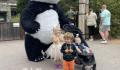 美动物园为大熊猫办告别派对 让欢乐的相聚冲淡离别的伤感