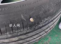京哈高速上钉子洒落 数十辆车被扎