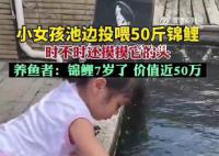 5岁女孩池边喂50斤胖锦鲤 小月饼是用饲料做成的