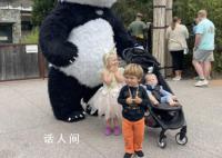 美动物园为大熊猫办告别派对 让欢乐的相聚冲淡离别的伤感