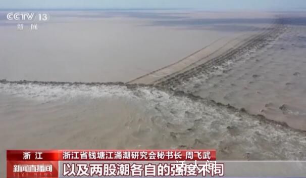 与潮相遇 “壮观天下无” 两股或多股潮水相遇会出现怎么的景象