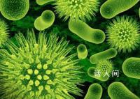 小伙称因长期抠鼻子感染丹毒 目前已基本康复