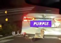 返程的后备箱:有人把鸡鸭挂车上