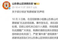 球迷购票被骗 泰山俱乐部发声