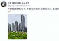 足球媒体人评中国男篮:彻底男足化