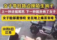 女子摸陌生狗面部惨遭撕咬 实在是太可怕了