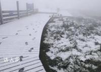 北京延庆下雪了 仿佛披上一层白纱