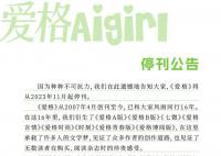 爱格停刊 因不可抗力将于11月起停刊