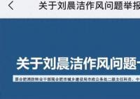 女子PPT举报前夫婚内出轨博士造假 刘晨洁个人资料介绍