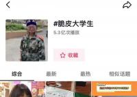 脆皮大学生是什么意思 脆皮大学生是什么梗