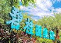 碧桂园或公布境外债重组计划 将面临两笔美元债利息到期