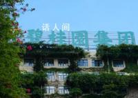碧桂园宣告启动境外债重组 涉及本金约93亿美元