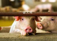负债1100亿 河南猪王急了