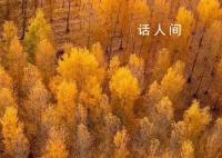 用中国传统色打开秋天 秋天的中国有多惊艳