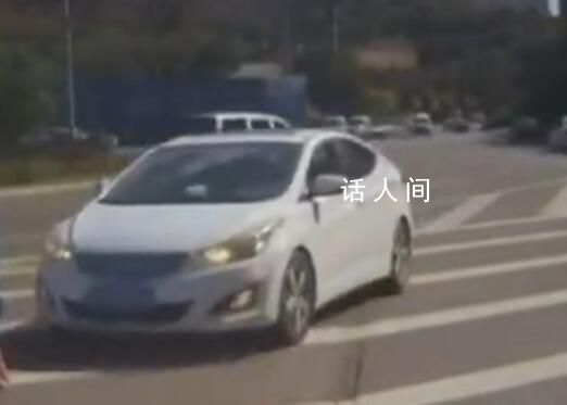 男子环岛逆行被抓 科一考20多次没过