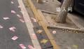 街道现满地百元大钞路人笑称不敢捡 目前已经找到失主