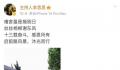 淘宝否认主持人李思思开直播 系早前已注册的同名主播