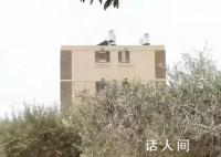 加沙边界城市频遭袭击已人去楼空 加沙逾34万人流离失所