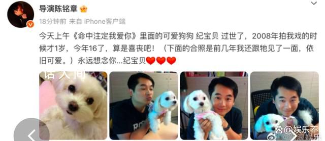 《命中注定我爱你》中的纪宝贝去世 纪宝贝回到汪星也要幸福哦