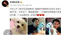 《命中注定我爱你》中的纪宝贝去世 纪宝贝回到汪星也要幸福哦