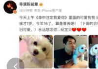 《命中注定我爱你》中的纪宝贝去世 纪宝贝回到汪星也要幸福哦