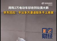 网购电动车到货是玩偶 京东介入