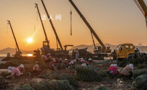 核污水排海后的生蚝养殖者 有人提前卖掉有人投入百万