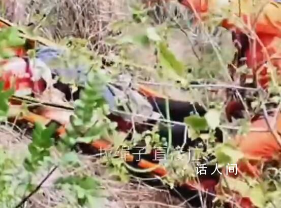 丈夫为救坠崖昏迷妻子自己也被困 救援人员做好防护后立即分三组展开营救