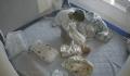 婴儿遭被子蒙头哥哥发现迅速拿开 带孩子不应抱有侥幸心理